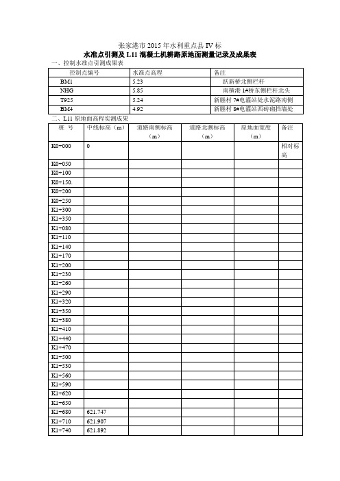 原地面高程测量成果表