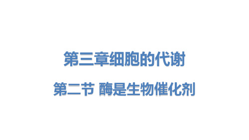 2022-2023学年浙科版(2019)必修一  3-2酶是生物催化剂 课件(36张)