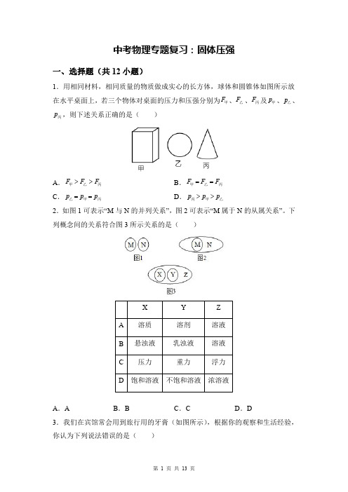 中考物理专题复习：固体压强