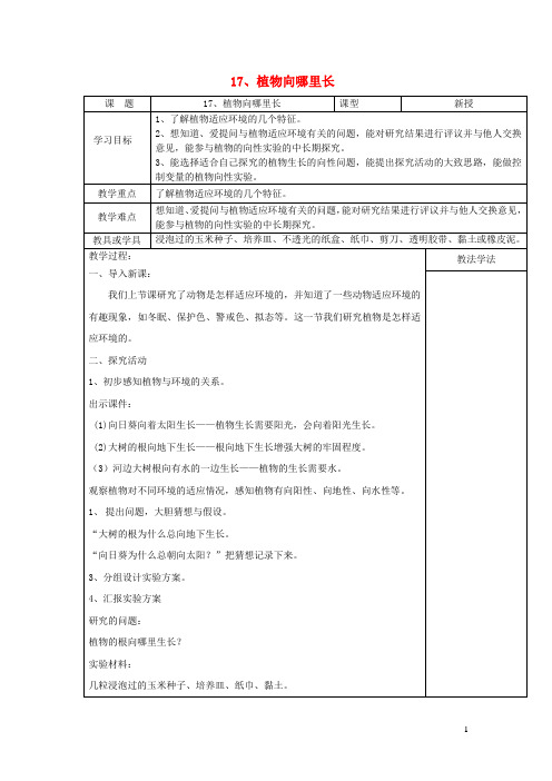 四年级科学下册第四单元生物与环境17植物向哪里长教案青岛版五四制