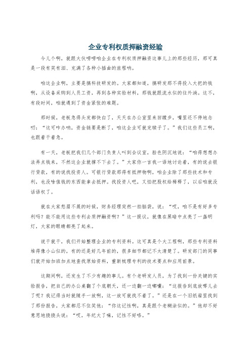 企业专利权质押融资经验