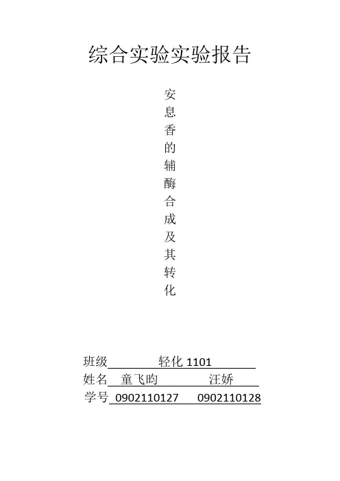 综合实验实验报告