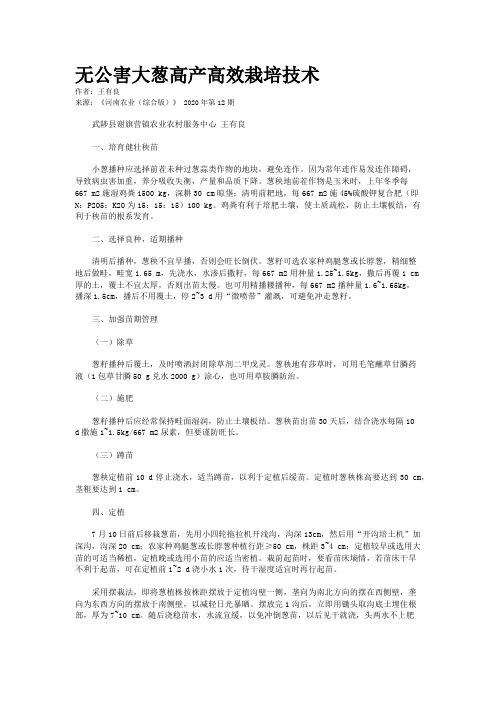 无公害大葱高产高效栽培技术