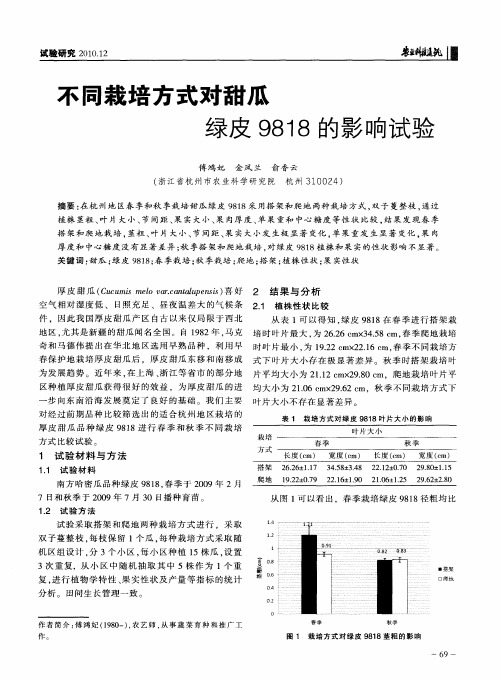 不同栽培方式对甜瓜绿皮9818的影响试验