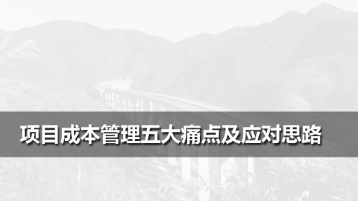 工程项目成本管理五大痛点及解决思路PPT