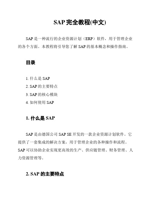 SAP完全教程(中文)