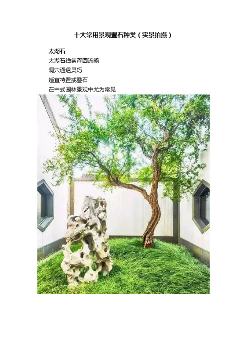 十大常用景观置石种类（实景拍摄）