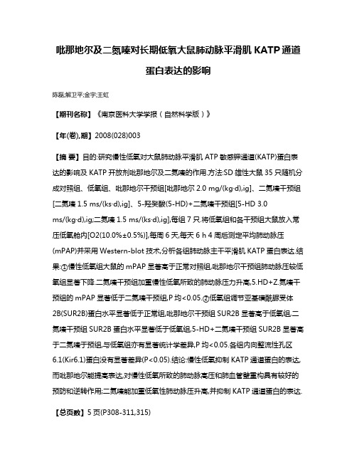 吡那地尔及二氮嗪对长期低氧大鼠肺动脉平滑肌KATP通道蛋白表达的影响