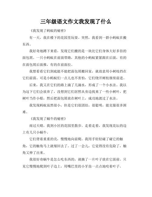 三年级语文作文我发现了什么