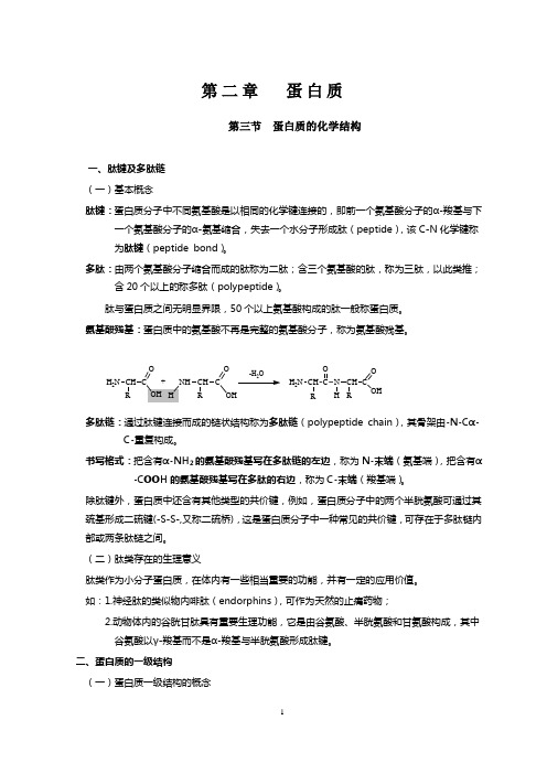 蛋白质的化学结构