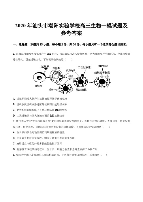 2020年汕头市潮阳实验学校高三生物一模试题及参考答案