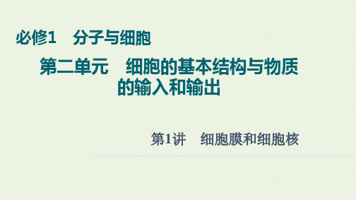 2022版高考生物一轮复习第2单元细胞的基本结构与物质的输入和输出第1讲细胞膜和细胞核课件ppt