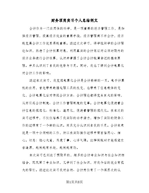 财务顶岗实习个人总结例文（3篇）