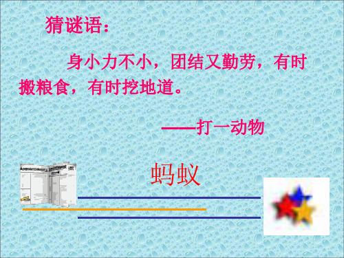 山谷中的谜底__学科信息:语文-苏教版-六年级下