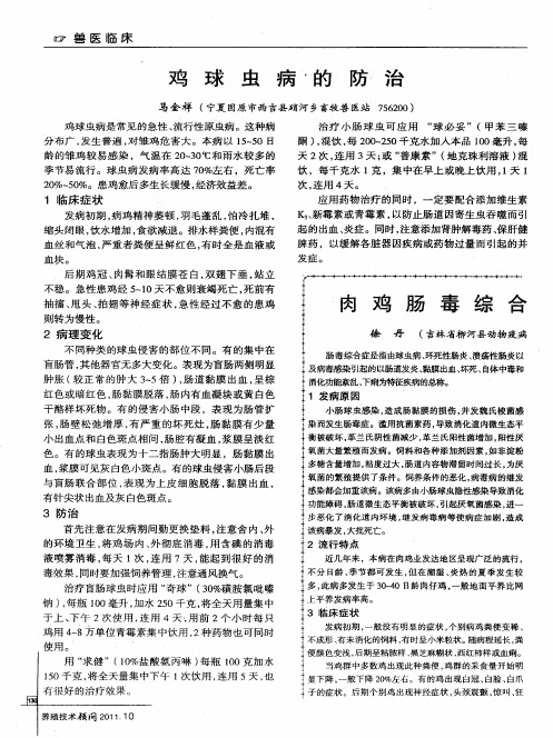 肉鸡肠毒综合症的防治措施