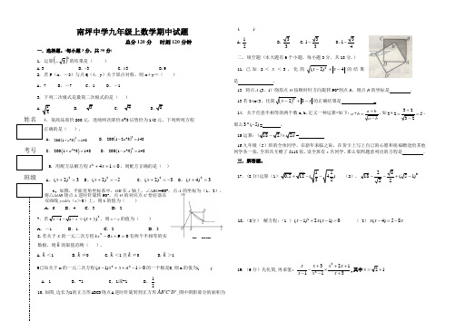 南坪中学九年级上数学期中试题