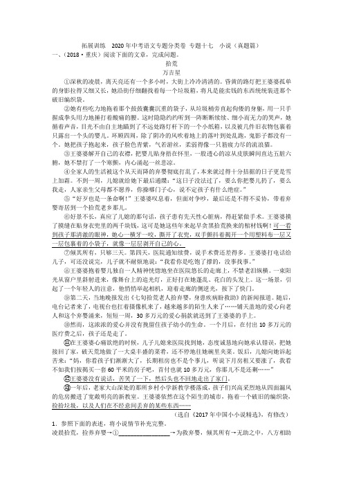 拓展训练  2020年中考语文专题分类卷 专题十七  小说(真题篇)附答案