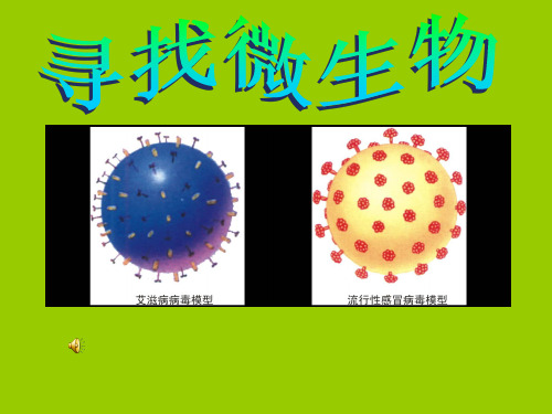 大象版科学五年级下册 寻找微生物ppt课件