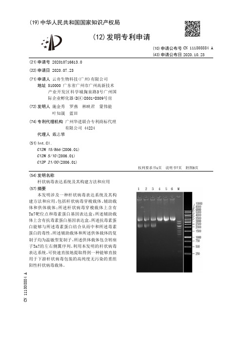 杆状病毒表达系统及其构建方法和应用[发明专利]