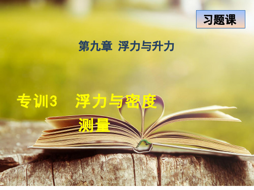 沪粤版八年级物理下册第九章《浮力与升力》专训3 浮力与密度测量