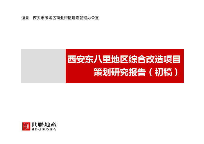 西安东八里地区综合改造项目策划研究报告