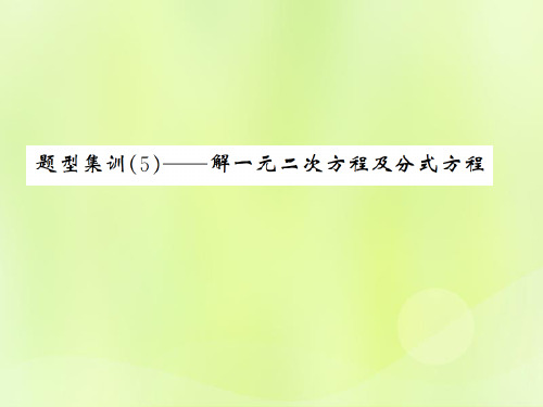 (通用版)2019年中考数学总复习-题型集训(5)—解一元二次方程及分式方程课件