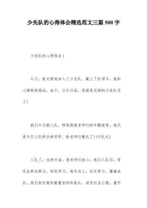 少先队的心得体会精选范文三篇500字