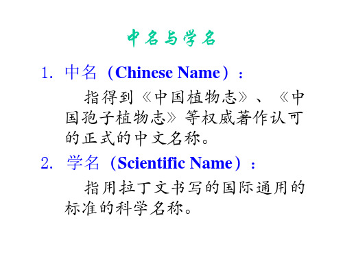 植物的命名