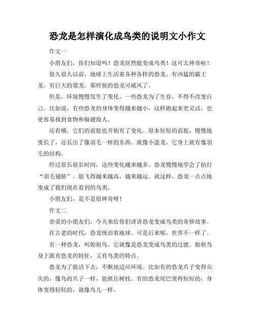 恐龙是怎样演化成鸟类的说明文小作文