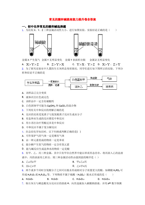 常见的酸和碱提高能力提升卷含答案