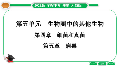 〖精品〗八年级上册生物-第5单元 第4章 第5章 病毒