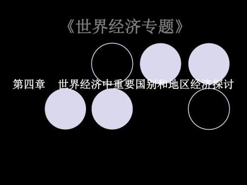 世界经济专题 106页PPT文档