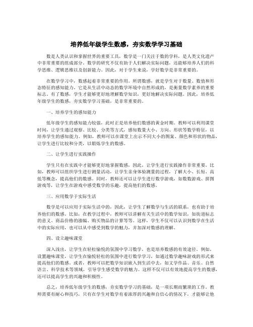 培养低年级学生数感,夯实数学学习基础