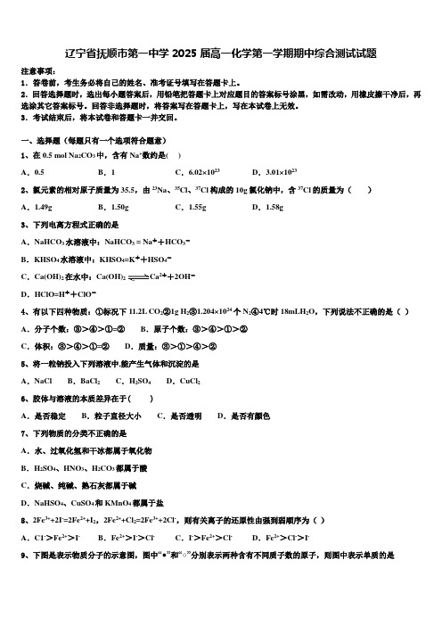 辽宁省抚顺市第一中学2025届高一化学第一学期期中综合测试试题含解析