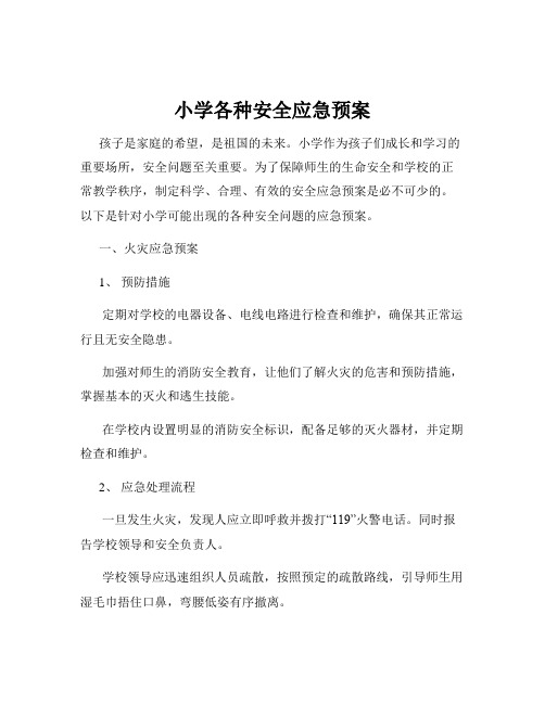 小学各种安全应急预案