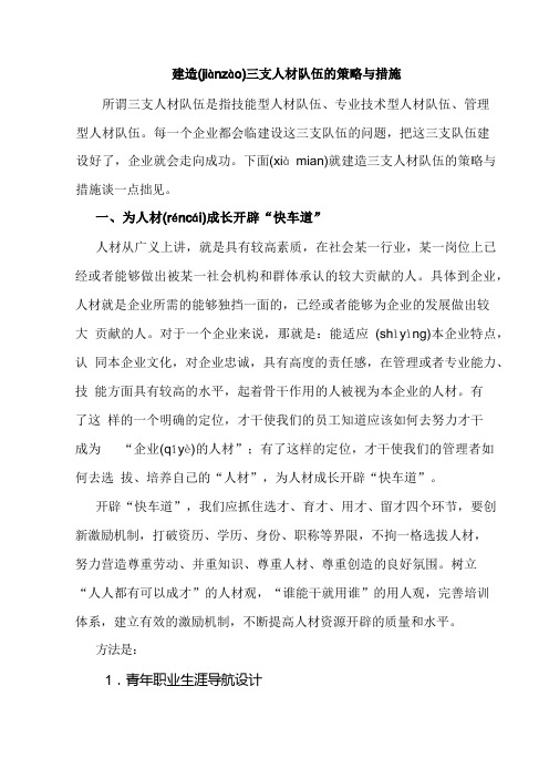 建造三支人才队伍的策略与措施