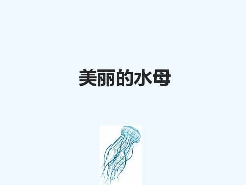 小班-美丽的水母—美术课件