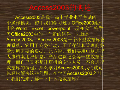 Access2003的概述及创建数据库[精选文档]