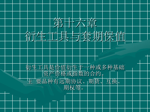 第十六章 衍生工具与套期保值