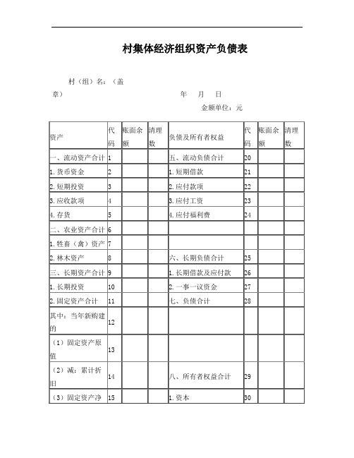 村集体经济组织资产负债表