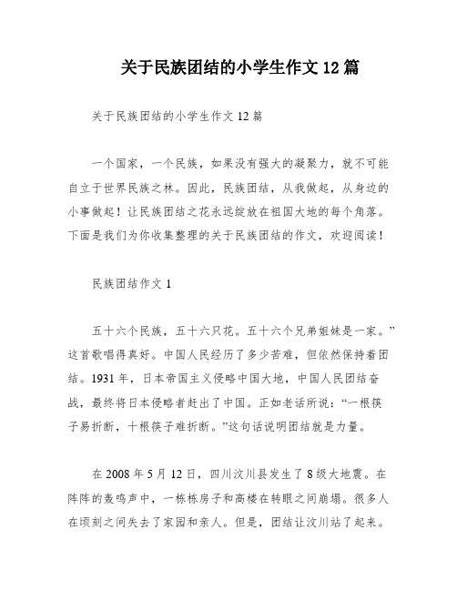 关于民族团结的小学生作文12篇