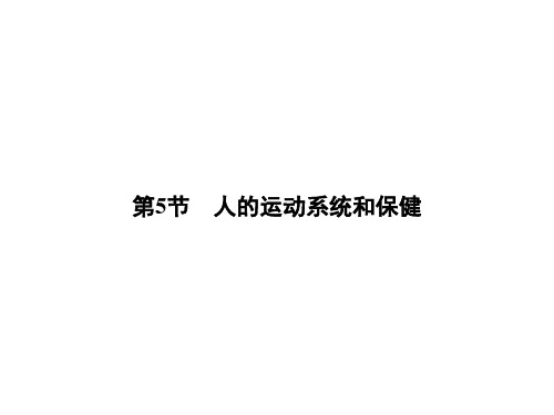 第3章第5节 人的运动系统和保健—浙教版九年级科学下册作业课件