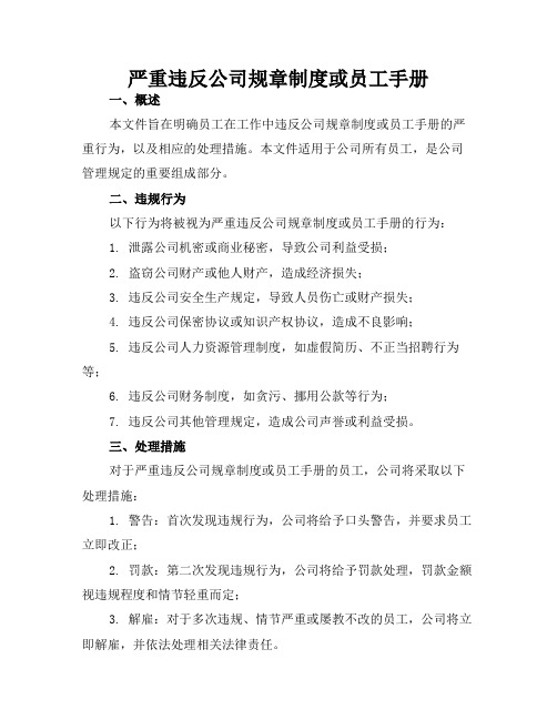 严重违反公司规章制度或员工手册