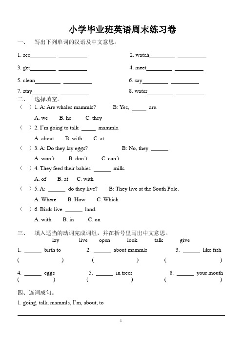 闽教版小学六年级英语周末练习卷