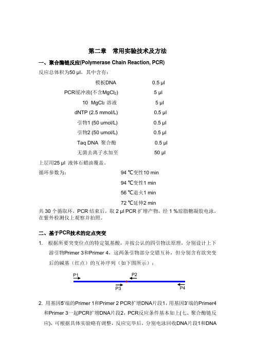 分子生物学常用实验技术及方法