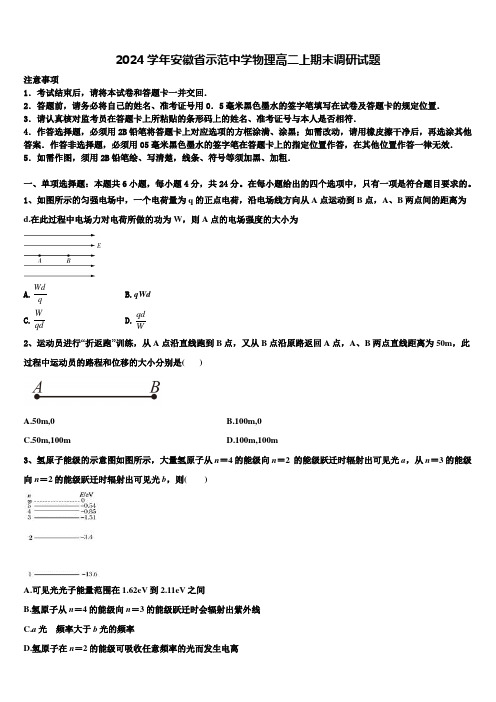 2024学年安徽省示范中学物理高二上期末调研试题含解析