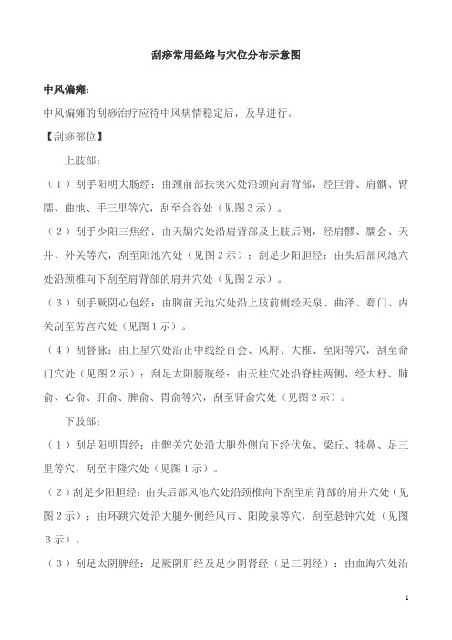 刮痧常用经络与穴位分布示意图