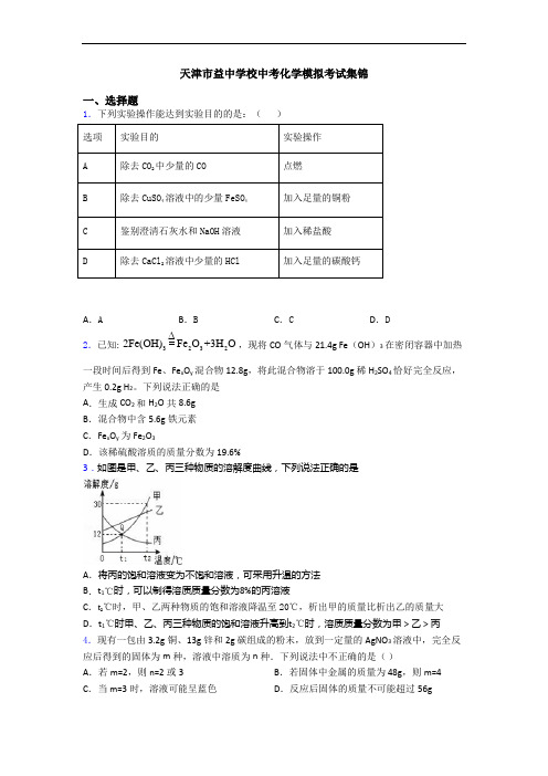 天津市益中学校中考化学模拟考试集锦