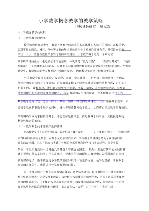 关于数学概念教学的教学策略讲座稿.docx