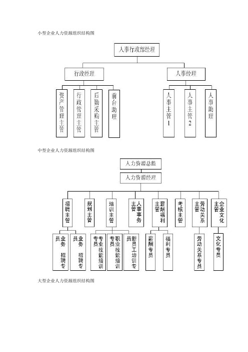 企业人力资源组织结构图